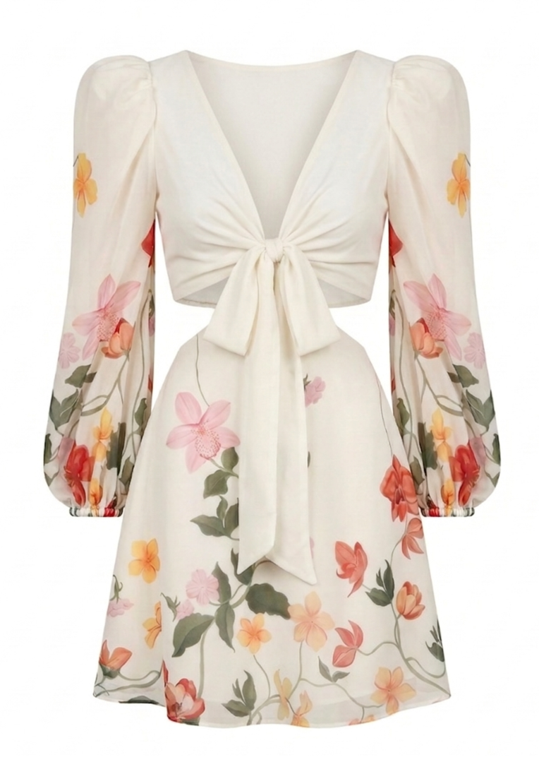 Ayla Gown