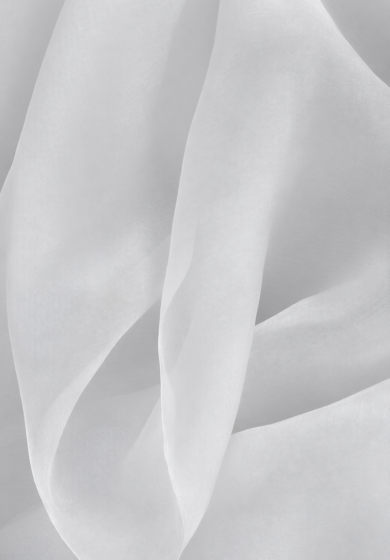 Organza Asymmetric Skirt