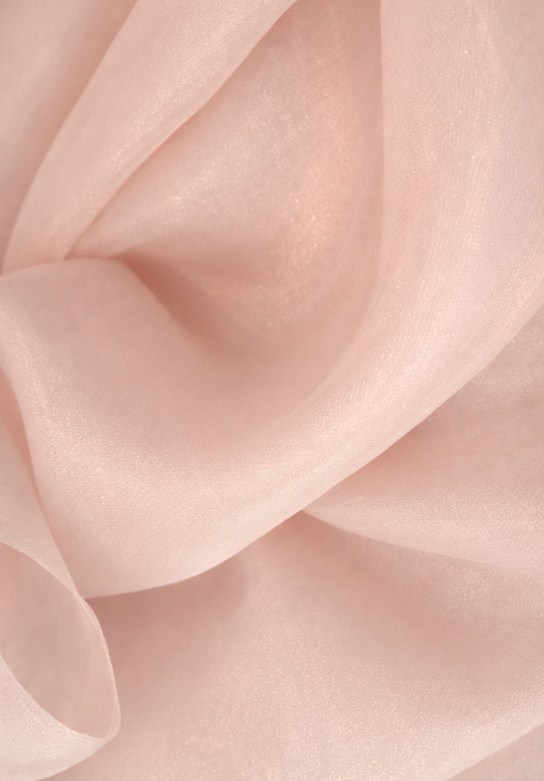 Organza Asymmetric Skirt