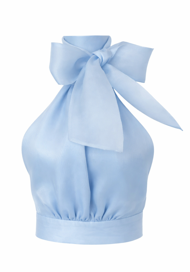 Micaela Organza Top