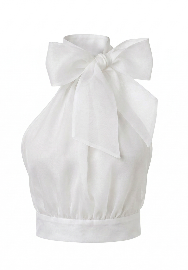 Micaela Organza Top