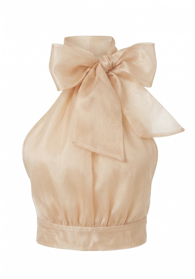 Micaela Organza Top