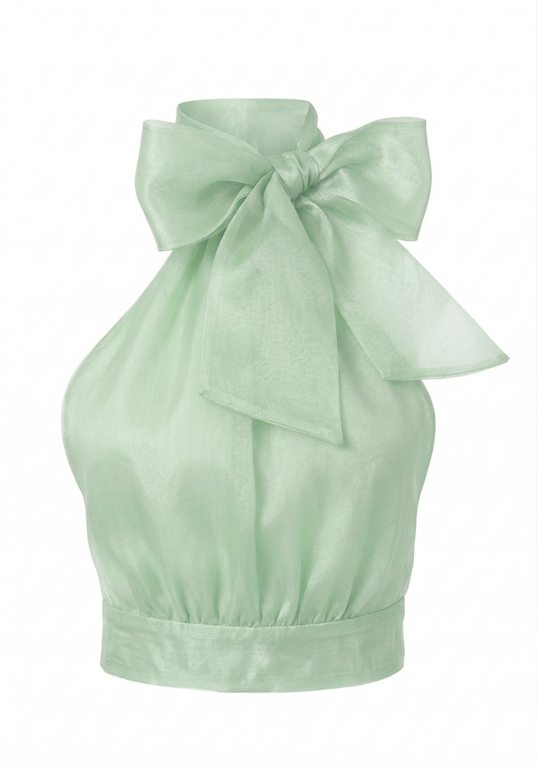 Micaela Organza Top