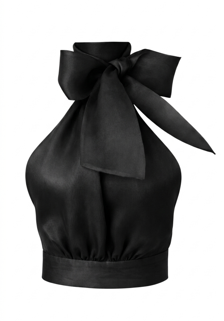 Micaela Organza Top