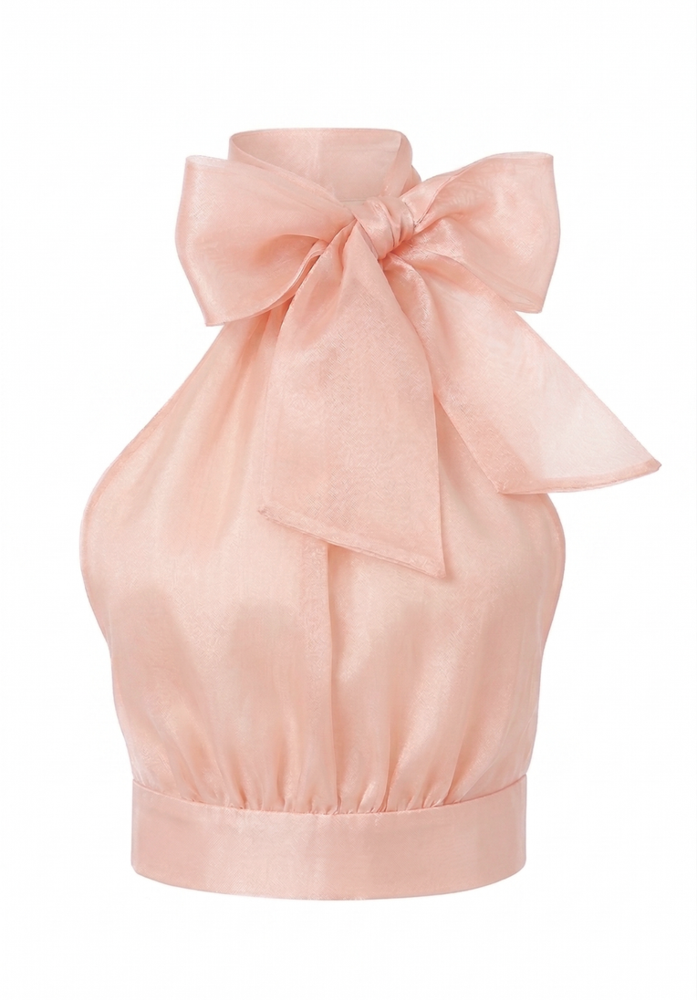 Micaela Organza Top